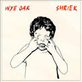 Wye Oak - Shriek - Vinyl Record