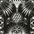 Scraps Of Tape - Sjaette Vansinnet - Music CD