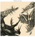 Feathered Arms - Feathered Arms - Vinyl Record