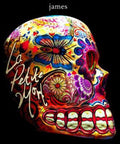 James - La Petite Mort - Music CD