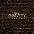 Rising Gravity Experience - Disillusioned - Music CD