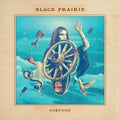 Fortune Vinyl Record