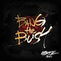 100 Percent - Bang The Bush - Music CD