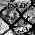 Enabler - Flies - Vinyl Record