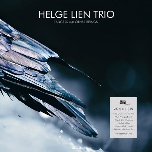 Lien,helge - Badgers & Other Beings - Vinyl Record