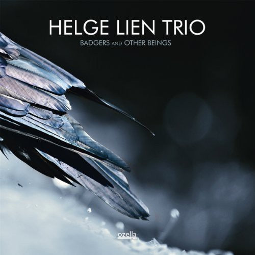 Lien,helge - Badgers & Other Beings - Music CD