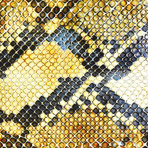 Amazing Snakeheads - Amphetamine Ballads - Music CD
