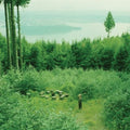 Then Thickens - Death Cap At Anglezarke - Music CD