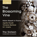Sixteen / Dougan / Pacelli / Bertolusi - Blossoming Vine: Italian Maestri In Poland - Music CD