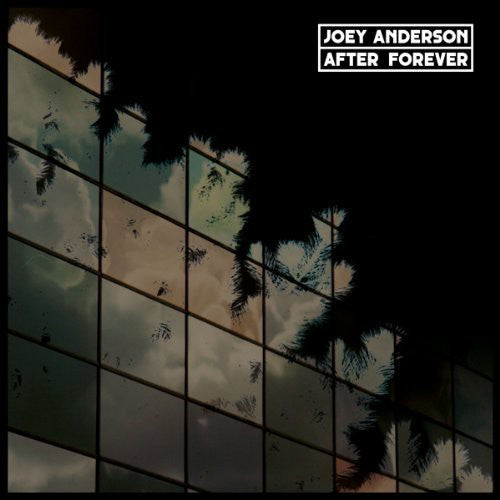Anderson,joey - After Forever - Vinyl Record