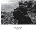Dare,douglas - Whelm - Vinyl Record