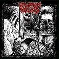 Violation Wound - Violation Wound - Music CD