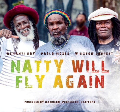 Natty Will Fly Again / Various - Natty Will Fly Again / Various - Music CD