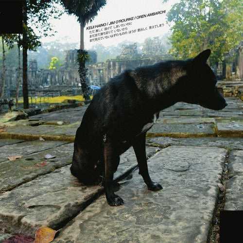 Haino,keiji - Only Wanting To Melt Beautifully Away Is It A Lack - Vinyl Record