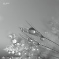Edit Select - Phlox - Vinyl Record