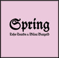 Teardo Teho & Bargeld Blixa - Spring - Music CD