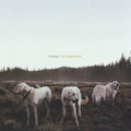 Foxing - Albatross - Music CD