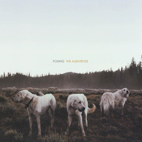 Foxing - Albatross - Music CD
