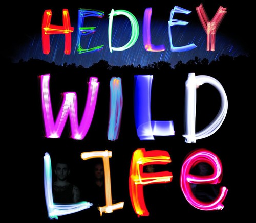 Hedley - Wild Life - Music CD