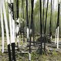 Delrey,bosco - Green Tiger's Alibi - Music CD