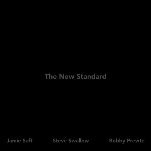 Saft,jamie / Swallow,steve / Previte,bobby - New Standard - Music CD