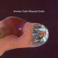 Answer Code Request - Code - Vinyl Record