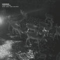 Cassegrain - Tiamat Remixes - Vinyl Record