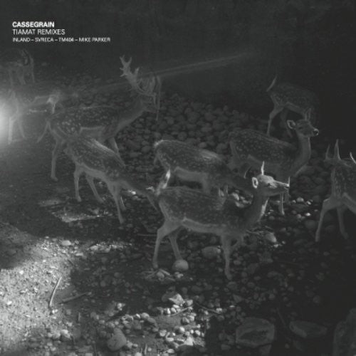 Cassegrain - Tiamat Remixes - Vinyl Record