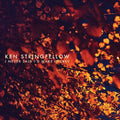 Stringfellow,ken - I Never Said I D Make It Easy - Music CD
