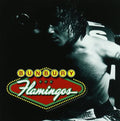 Bunbury - Flamingos - Music CD