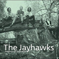 Jayhawks - Tomorrow The Green Grass - Vinyl Record
