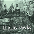 The Jayhawks - Tomorrow The Green Grass [Vinyl]