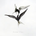 Printer Clips - Printer Clips - Music CD