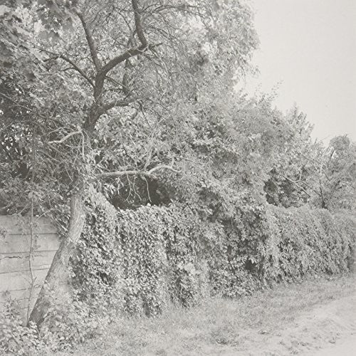 Schwarz,seth - Jabel - Vinyl Record