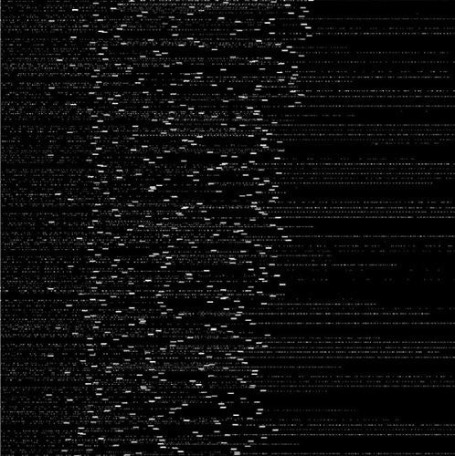 Application - System Fork - Vinyl Record