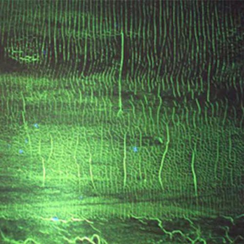 Dozzy,donato - K - Music CD