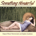 Ford,anne Kerry - Something Wonderful - Music CD