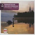 Romantische Orchestermusik / Various - Romantische Orchestermusik / Various - Music CD