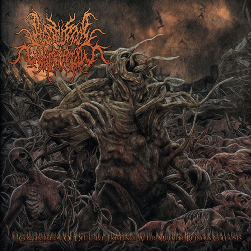 Postcoital Ulceration - Continuation Of Defective Existence After Multiple - Music CD