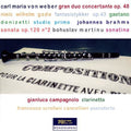 Weber / Donizetti / Gade / Brahms - Various Works For Clarinet & Piano - Music CD
