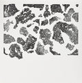Le Doux,lawrence - Terrestre - Vinyl Record