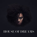 Naomi Pilgrim - House Of Dreams - Vinyl Record