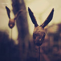 Still Light - Rosarium - Vinyl Record