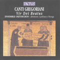 Ensemble Oktoechos / Menga - Gregorian Chant: Vir Dei Beatus - Music CD
