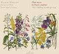 Kirnberger / Goldberg / Abel / Muethel / Krebs - Flute Music By Bach's Students - Music CD