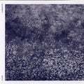 Blueprints / Var - Blueprints / Var - Music CD