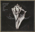 Lullaby & the Ceaseless Roar Music CD