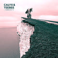 Calyx & Teebee - Fabriclive 76 - Music CD