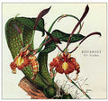 Botanist - Vi: Flora - Music CD