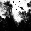Autumn's Dawn - Gone - Music CD